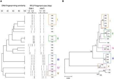 High-Throughput flaA Short Variable Region Sequencing to Assess Campylobacter Diversity in Fecal Samples From Birds